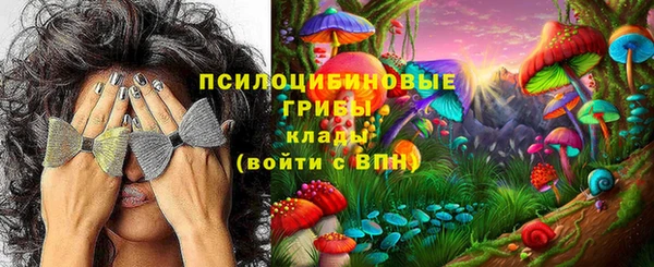 mdpv Верея